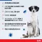 BOLFO Vlooienband bruin voor kleine honden/katten, 1 st