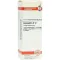 COLOCYNTHIS D 12 Verdunning, 20 ml