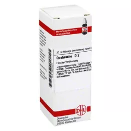 QUEBRACHO D 2 Verdunning, 20 ml