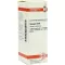 SPONGIA D 30 Verdunning, 20 ml