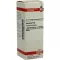 UVA URSI D 6 Verdunning, 20 ml