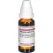 VIBURNUM OPULUS D 3 Verdunning, 20 ml