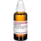 APOCYNUM D 6 Verdunning, 50 ml