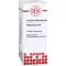 PHYTOLACCA D 6 Verdunning, 50 ml