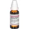 CALCIUM CARBONICUM Hahnemanni D 12 Verdunning, 20 ml