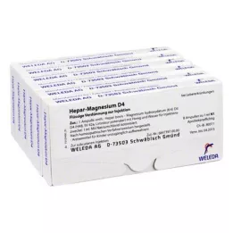 HEPAR MAGNESIUM D 4 Ampullen, 48X1 ml