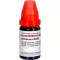 ABROTANUM LM XXX Verdunning, 10 ml