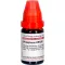 PHOSPHORUS LM XXX Verdunning, 10 ml