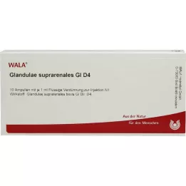 GLANDULAE SUPRARENALES GL D 4 Ampullen, 10X1 ml