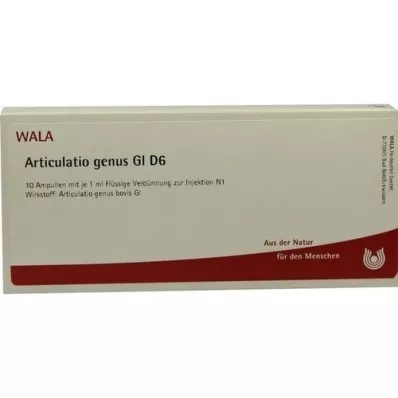 ARTICULATIO geslacht GL D 6 ampullen, 10X1 ml