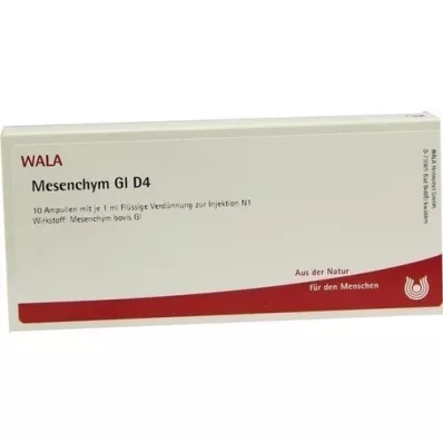 MESENCHYM GL D 4 Ampullen, 10X1 ml