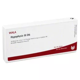HYPOPHYSIS GL D 6 Ampullen, 10X1 ml
