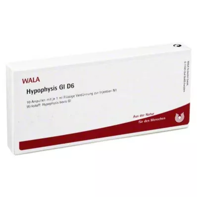 HYPOPHYSIS GL D 6 Ampullen, 10X1 ml