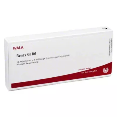 RENES GL D 6 Ampullen, 10X1 ml RENES GL D 6 Ampullen, 10X1 ml