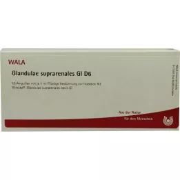 GLANDULAE SUPRARENALES GL D 6 Ampullen, 10X1 ml