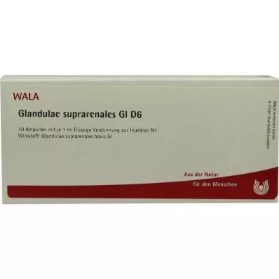 GLANDULAE SUPRARENALES GL D 6 Ampullen, 10X1 ml GLANDULAE SUPRARENALES GL D 6 Ampullen, 10X1 ml