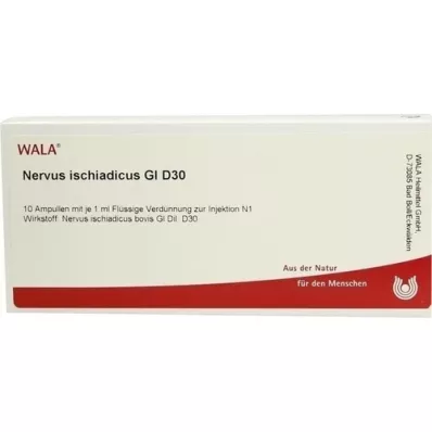 NERVUS ISCHIADICUS GL D 30 Ampullen, 10X1 ml