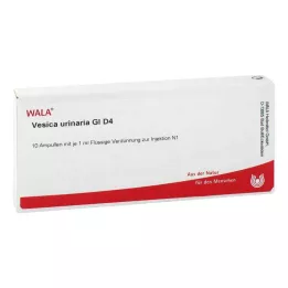 VESICA URINARIA GL D 4 Ampullen, 10X1 ml