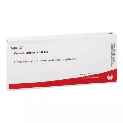 VESICA URINARIA GL D 4 Ampullen, 10X1 ml