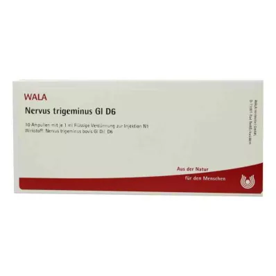 NERVUS TRIGEMINUS GL D 6 Ampullen, 10X1 ml NERVUS TRIGEMINUS GL D 6 Ampullen, 10X1 ml