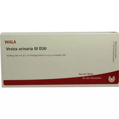 VESICA URINARIA GL D 30 Ampullen, 10X1 ml VESICA URINARIA GL D 30 Ampullen, 10X1 ml