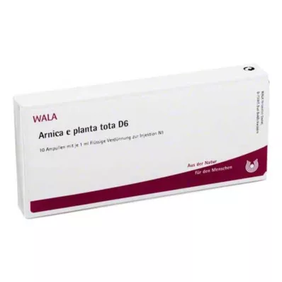 ARNICA E Planta tota D 6 Ampullen, 10X1 ml ARNICA E Planta tota D 6 Ampullen, 10X1 ml