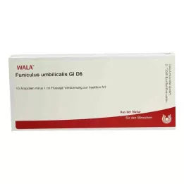 FUNICULUS UMBILICALIS GL D 6 Ampullen, 10X1 ml