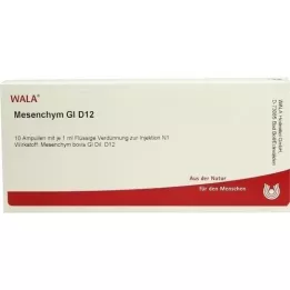 MESENCHYM GL D 12 Ampullen, 10X1 ml