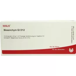 MESENCHYM GL D 12 Ampullen, 10X1 ml