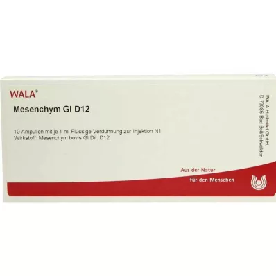 MESENCHYM GL D 12 Ampullen, 10X1 ml