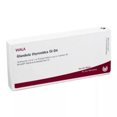 GLANDULA THYREOIDEA GL D 4 Ampullen, 10X1 ml GLANDULA THYREOIDEA GL D 4 Ampullen, 10X1 ml
