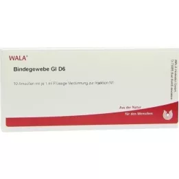 BINDEGEWEBE GL D 6 Ampullen, 10X1 ml