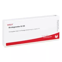 BINDEGEWEBE GL D 6 Ampullen, 10X1 ml