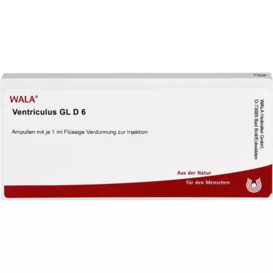 VENTRICULUS GL D 6 Ampullen, 10X1 ml