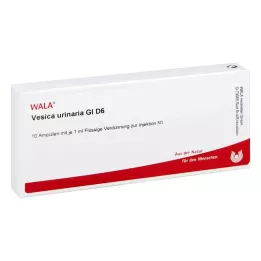 VESICA URINARIA GL D 6 Ampullen, 10X1 ml