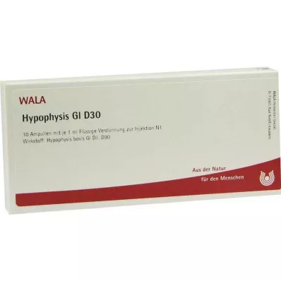 HYPOPHYSIS GL D 30 Ampullen, 10X1 ml HYPOPHYSIS GL D 30 Ampullen, 10X1 ml