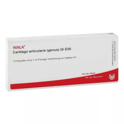 CARTILAGO articularis geslacht GL D 30 ampullen, 10X1 ml CARTILAGO articularis geslacht GL D 30 ampullen, 10X1 ml
