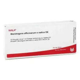 MANDRAGORA OFFICINARIUM e radice D 6 Ampullen, 10X1 ml