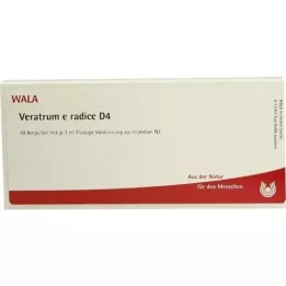 VERATRUM E radice D 4 Ampullen, 10X1 ml