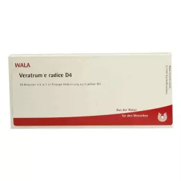 VERATRUM E radice D 4 Ampullen, 10X1 ml