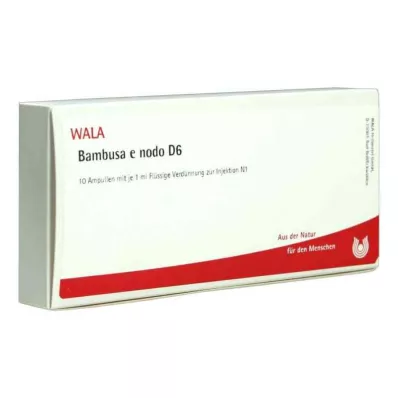 BAMBUSA E NODO D 6 Ampullen, 10X1 ml