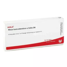 RHUS TOXICODENDRON E foliis D 6 Ampullen, 10X1 ml