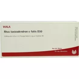 RHUS TOXICODENDRON E foliis D 30 Ampullen, 10X1 ml