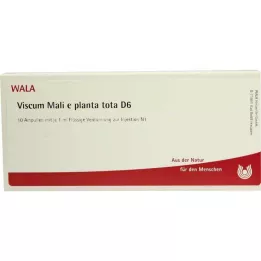 VISCUM MALI e planta tota D 6 Ampullen, 10X1 ml
