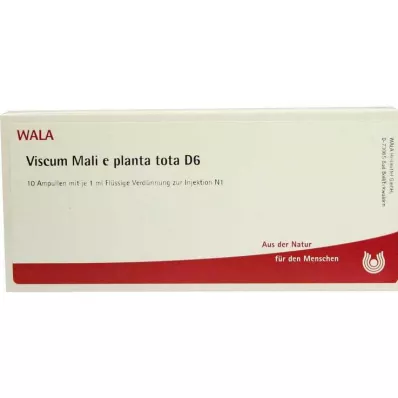 VISCUM MALI e planta tota D 6 Ampullen, 10X1 ml VISCUM MALI e planta tota D 6 Ampullen, 10X1 ml