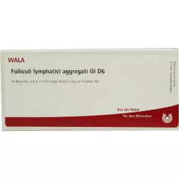 FOLLICULI LYMPHATICI aggregati GL D 6 ampullen, 10X1 ml