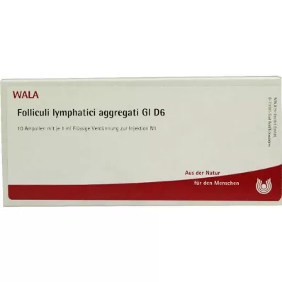 FOLLICULI LYMPHATICI aggregati GL D 6 ampullen, 10X1 ml FOLLICULI LYMPHATICI aggregati GL D 6 ampullen, 10X1 ml