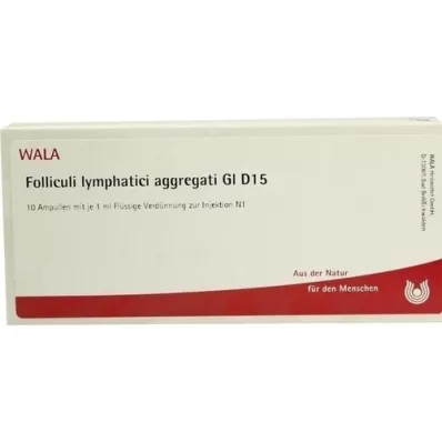 FOLLICULI LYMPHATICI aggregati GL D 15 ampullen, 10X1 ml