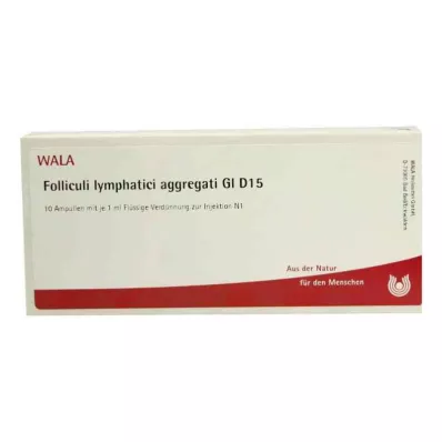 FOLLICULI LYMPHATICI aggregati GL D 15 ampullen, 10X1 ml FOLLICULI LYMPHATICI aggregati GL D 15 ampullen, 10X1 ml
