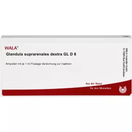 GLANDULA SUPRARENALES dextra GL D 8 ampullen, 10X1 ml